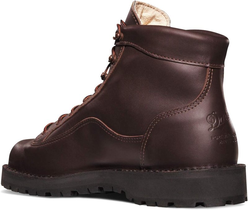 Danner Men's Explorer 6" Gore-Tex Hiking Boot - Waterproof Comfort & Durability
