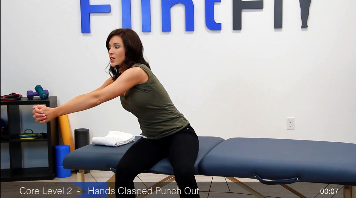 FlintFit Stroke Recovery Exercises: Therapy Videos for Hands, Arms, Core, and Legs