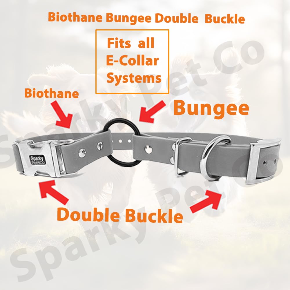 Sparky Pet Co Zeus Bungee Dog E-Collar Replacement Strap, 1 Inch