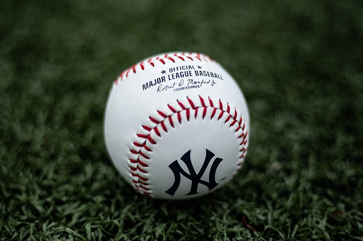 Rawlings MLB New York Yankees Team Logo Baseball, White, 1