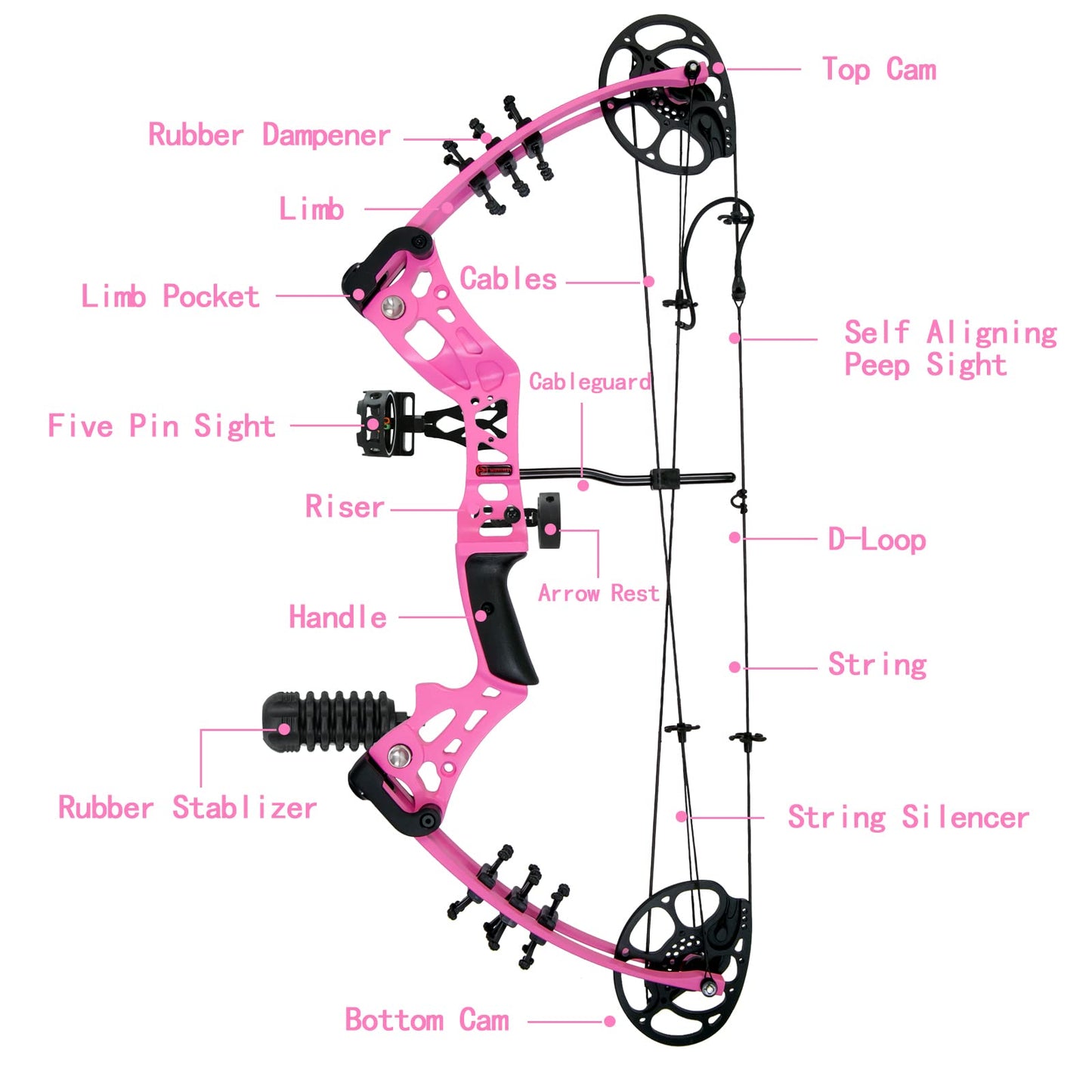 WUXLISTY Youth Compound Bow Set 15-45 Lbs for Teens and Beginner, Package with Archery Hunting Equipment, 5 Pin Sight, Max Speed 320fps, Adjustable, Right Hand, Pink