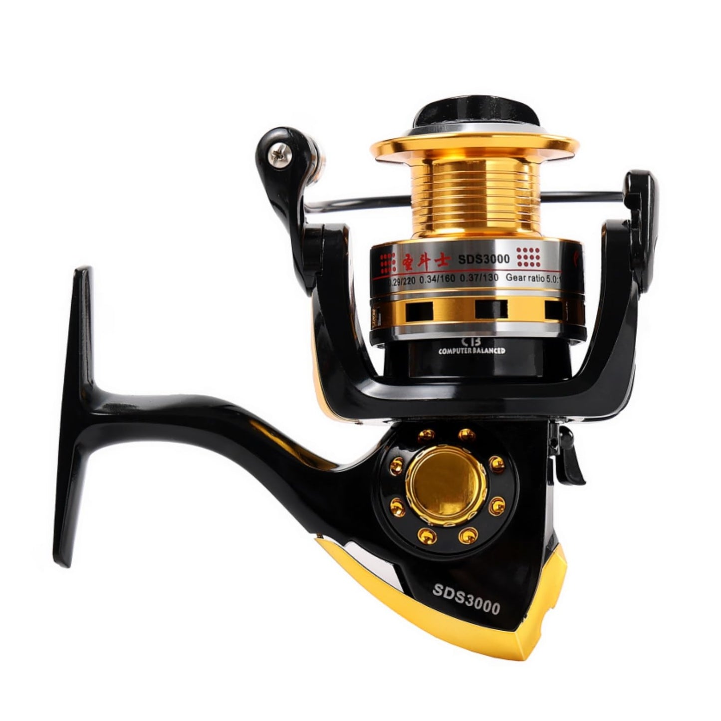 Diwa Spinning Fishing Reels for Saltwater Freshwater 1000 2000 3000 4000 5000 6000 Series Fishing Spool Left/Right Interchangeable Trout Carp Spinning Reel 10 Ball Bearings Light and Smooth (1000)