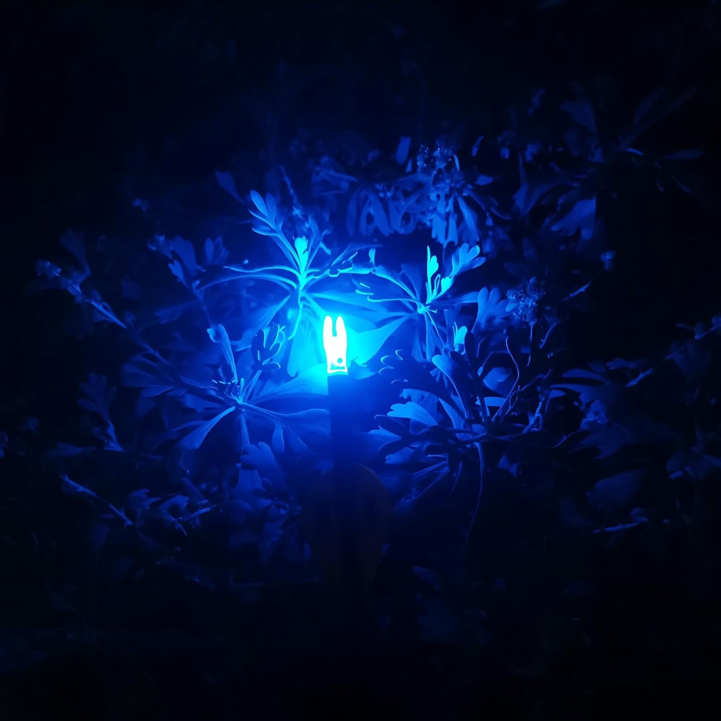Lighted Nocks for Arrows - 6PCS High-Visibility LED Illuminated Knocks | Fits .204, .233, .244, .246 Diameter