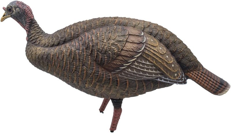 Live Breeder Hen Turkey Decoy - Realistic Hunting Decoy for Effective Turkey Lure