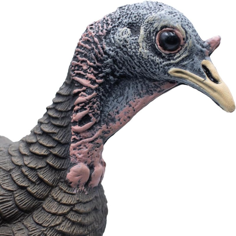 Live Breeder Hen Turkey Decoy - Realistic Hunting Decoy for Effective Turkey Lure