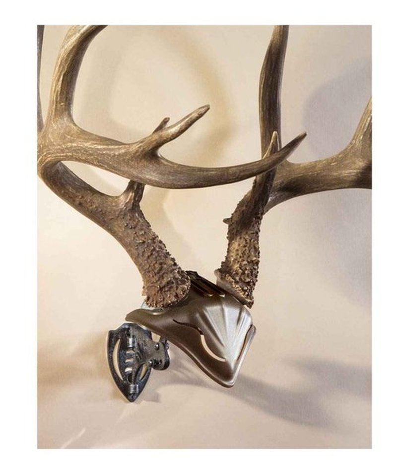 Skull Hooker Big Hooker European Trophy Mount for Elk, Moose, & Caribou Antlers, Robust Brown & Bone Bracket European Trophy Mount with Skull Cap, Graphite Black