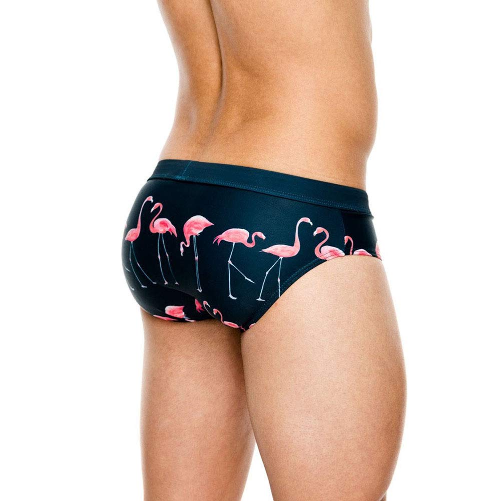 Lukitty Men's Flamingo Print Thong Swimwear Bikini Pouch Briefs Beach Swimsuit XXL