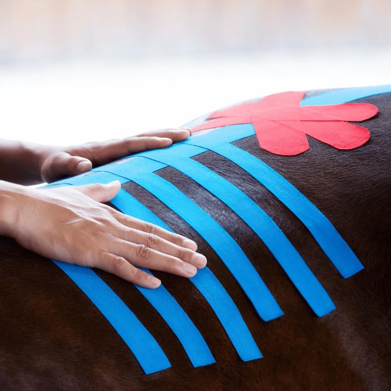 VETKIN VetkinTape Canine & Equine Kinesiology Tape | Veterinary Medical Tape | Vet Wrap for Joint Support & Pet Care | Self Adhesive Bandage Wrap | Blue | 2.4in | (Pack of 1)