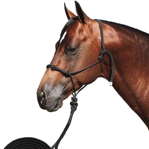 Professional's Choice Clinician Halter 15' Nylon Lea, Color: Black, Size: 15' (HRC-BLA)