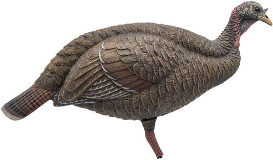Live Breeder Hen Turkey Decoy - Realistic Hunting Decoy for Effective Turkey Lure