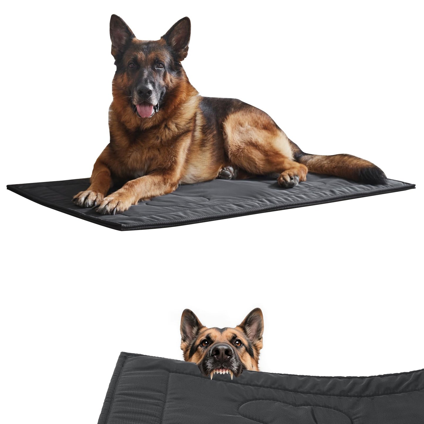 Couzssyhi Chew Proof Indestructible Dog Crate Pad,Medium (22"x35")