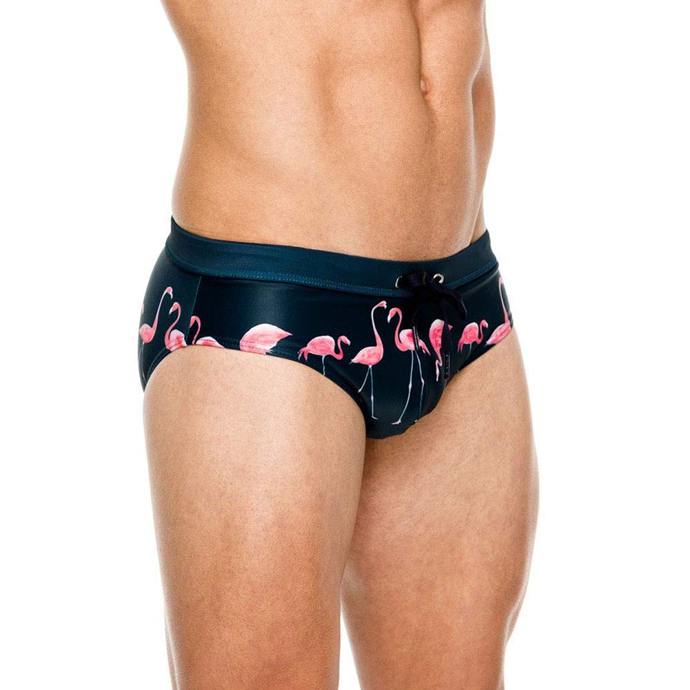 Lukitty Men's Flamingo Print Thong Swimwear Bikini Pouch Briefs Beach Swimsuit XXL