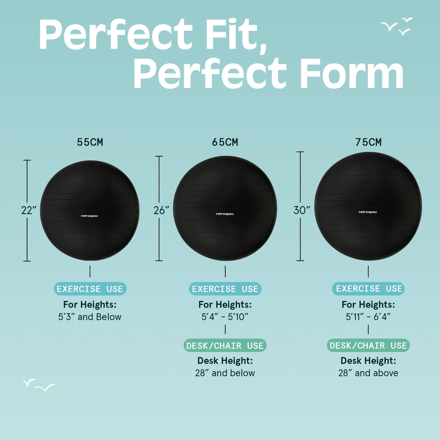 Retrospec Luna Exercise Ball - 55, 65, or 75cm Yoga Ball for Workouts, Stability, Pregnancy - Swish Balance Ball w/Pump & Base for Office & Home Gym, 65cm, Black