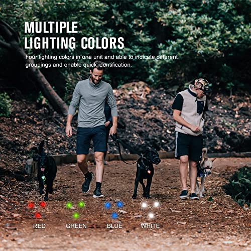 OLIGHT Gober Kit Safety Light, High Visibility LED Beacon Lights with 4 Lighting Modes, USB-C Rechargeable Flashing Warning with Clip for Running, Cycling, Camping, Dog Walking at Night (Black)