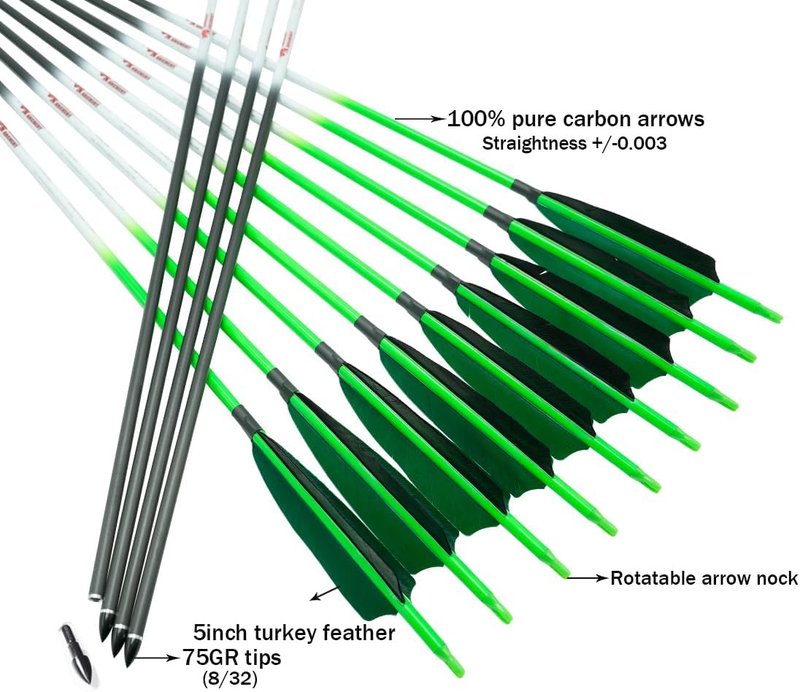Archery Carbon Arrows - Fluorescent Hunting Practice Target Arrows with Removable Tip | Spine 250-800, Pack of 6/12