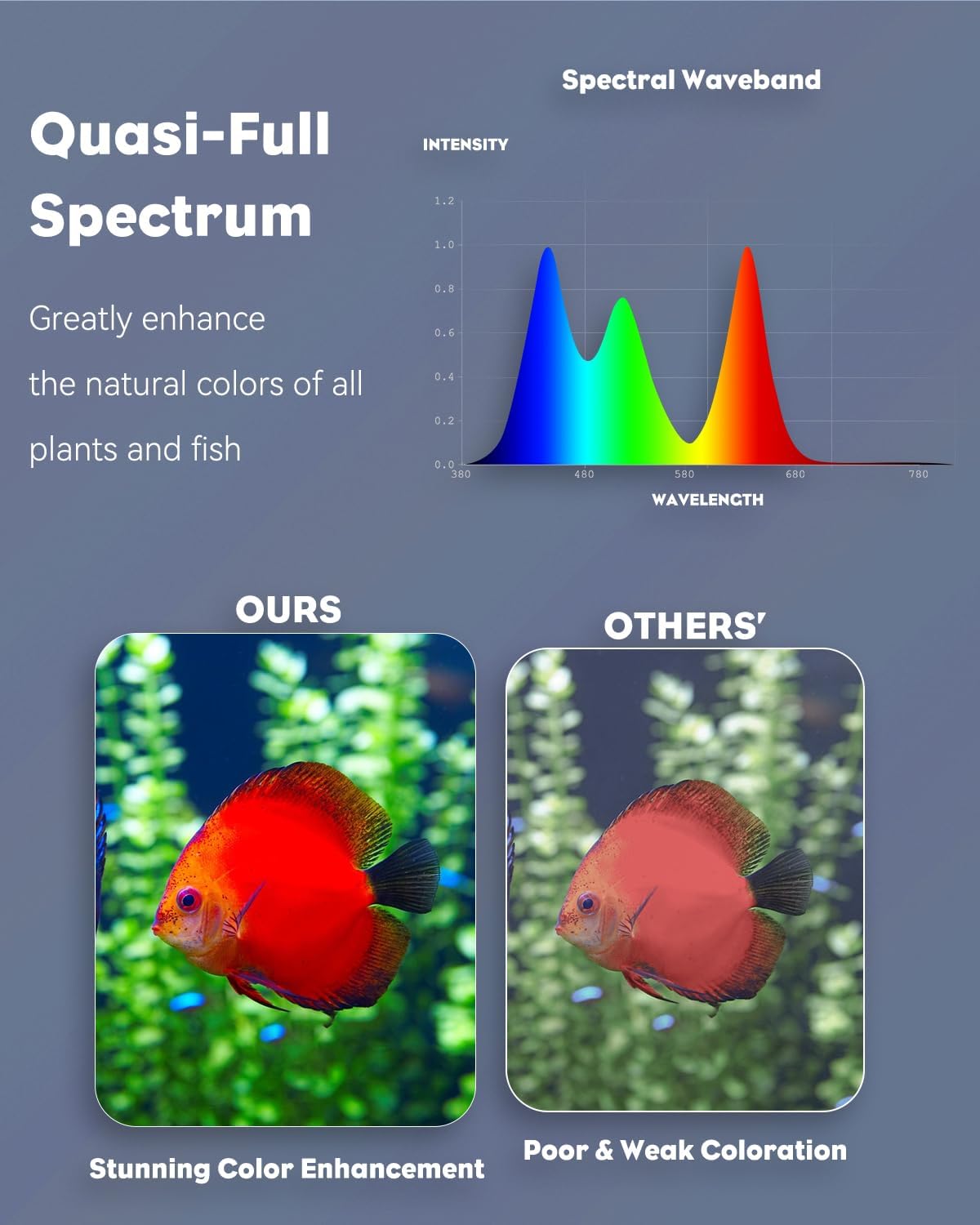 Pawfly 8-Inch Aquarium Color Enhancement Light - IPX8 Waterproof LED for 8" to 15" Fish Tanks | 7 Effects & Adjustable Brightness