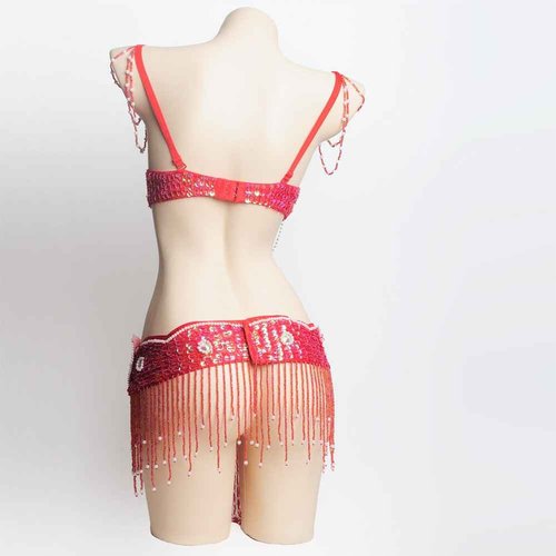 ROYAL SMEELA Belly dance Costume Set Professional For Women Carnival Bellydance Bra and Belt, Red, Medium