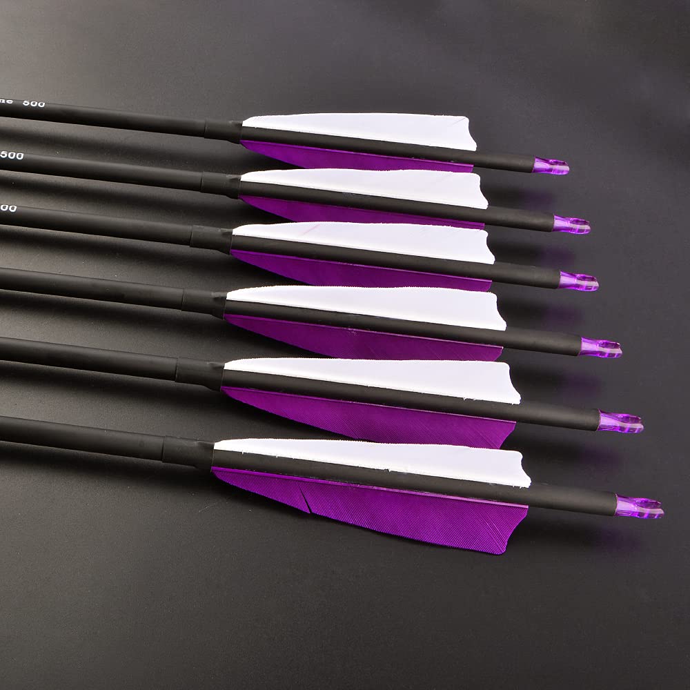 ZSHJGJR 30 Inch Archery Carbon Arrows Hunting Arrows with 4” Turkey Feather Target Practice Arrows Spine 500 for Compound & Recurve &Traditional Bow 6/12pcs (12 x Purple Arrows + Quiver)