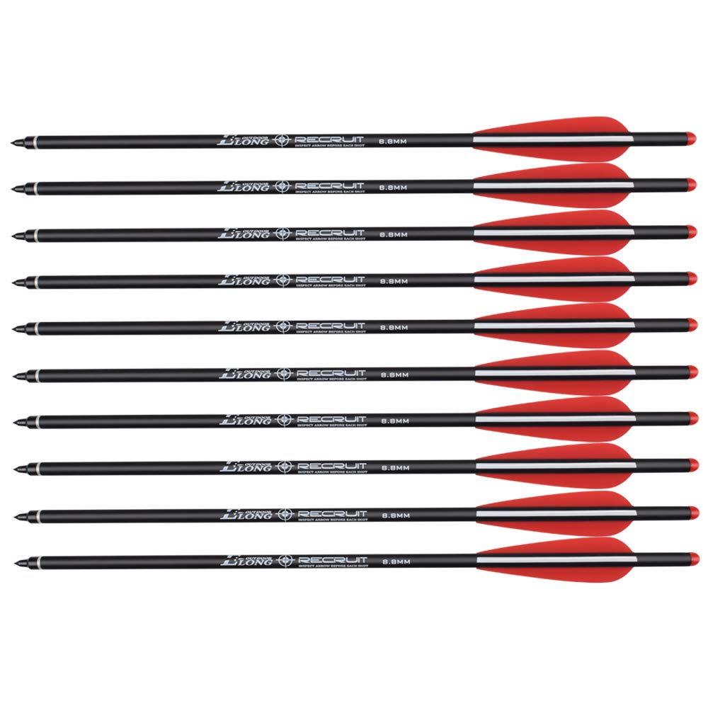 Carbon Crossbow Bolts 22 Inch Hunting Archery Arrows with 4" Vanes Replaced Arrowhead Tip (Pack of 12)