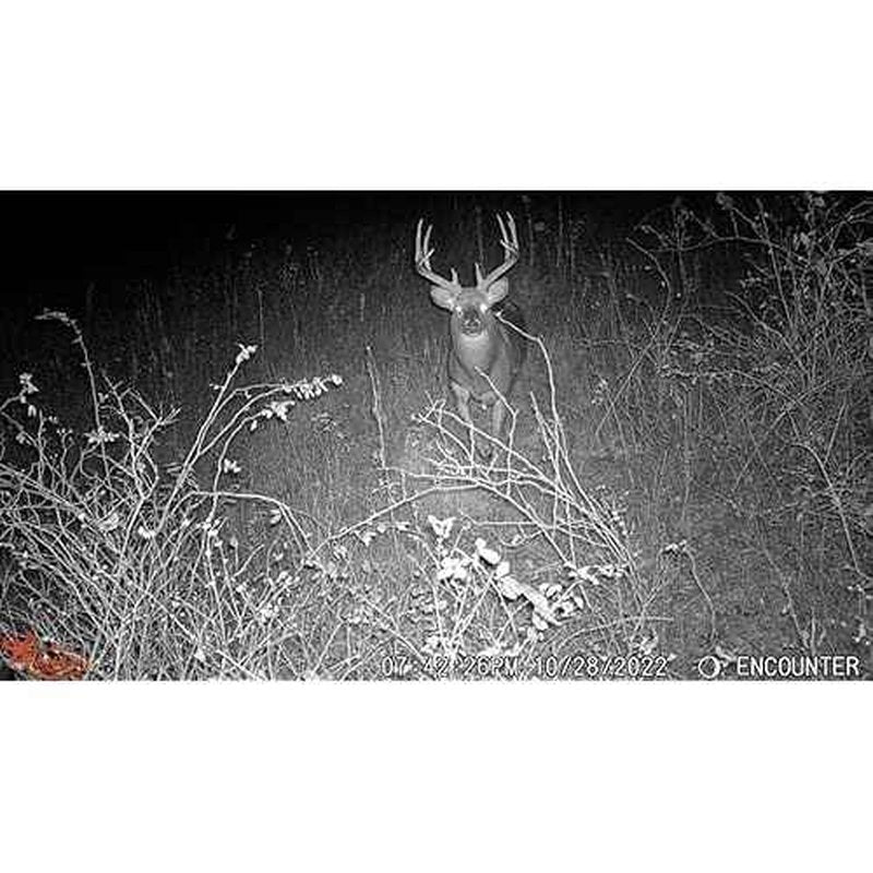 Wildgame Innovations Scrapeline 18MP Trail Camera with Batteries and SD Card