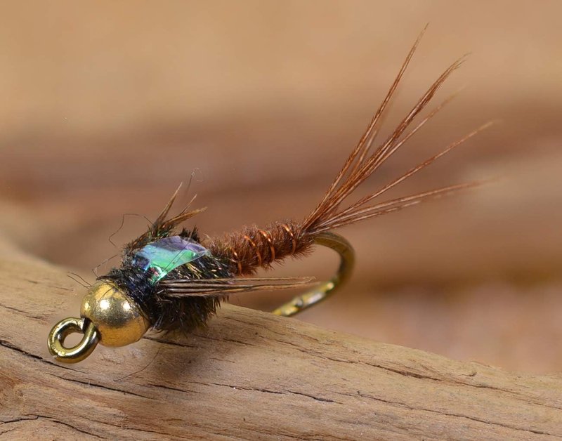 Tungsten Bead Head Mayfly Nymph Flies - Pheasant Tail Design | 1 Dozen Flies