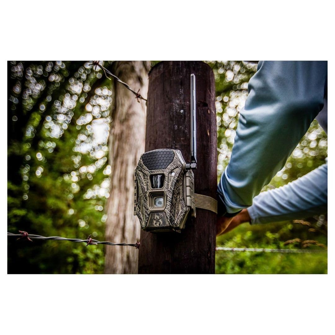 Wildgame Innovations Terra Cell XT 24MP Cellular Dual Network Trail Camera with 21 LEDs Bundle with 32GB Ultra SDHC UHS-I Memory Card and 4-in-1 USB Card Reader (Black) (3 Items)