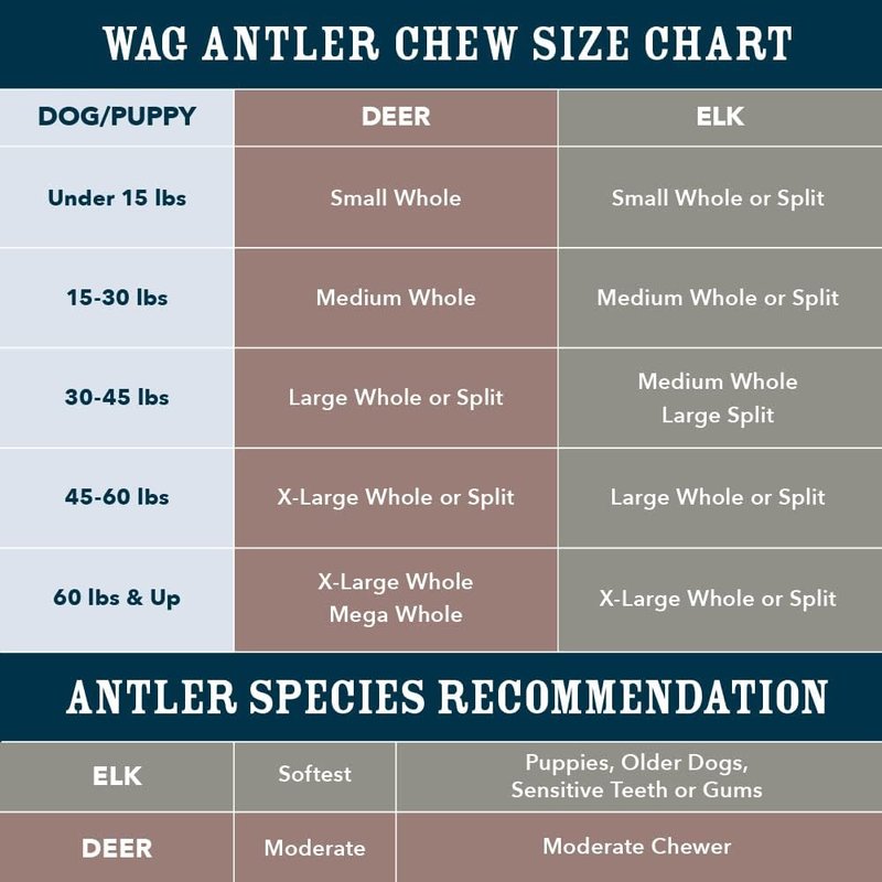 Wag Dog Deer Antler Chew - Naturally Shed, Long-Lasting Treat for Aggressive Chewers | Small Size (4-5.5 inches)