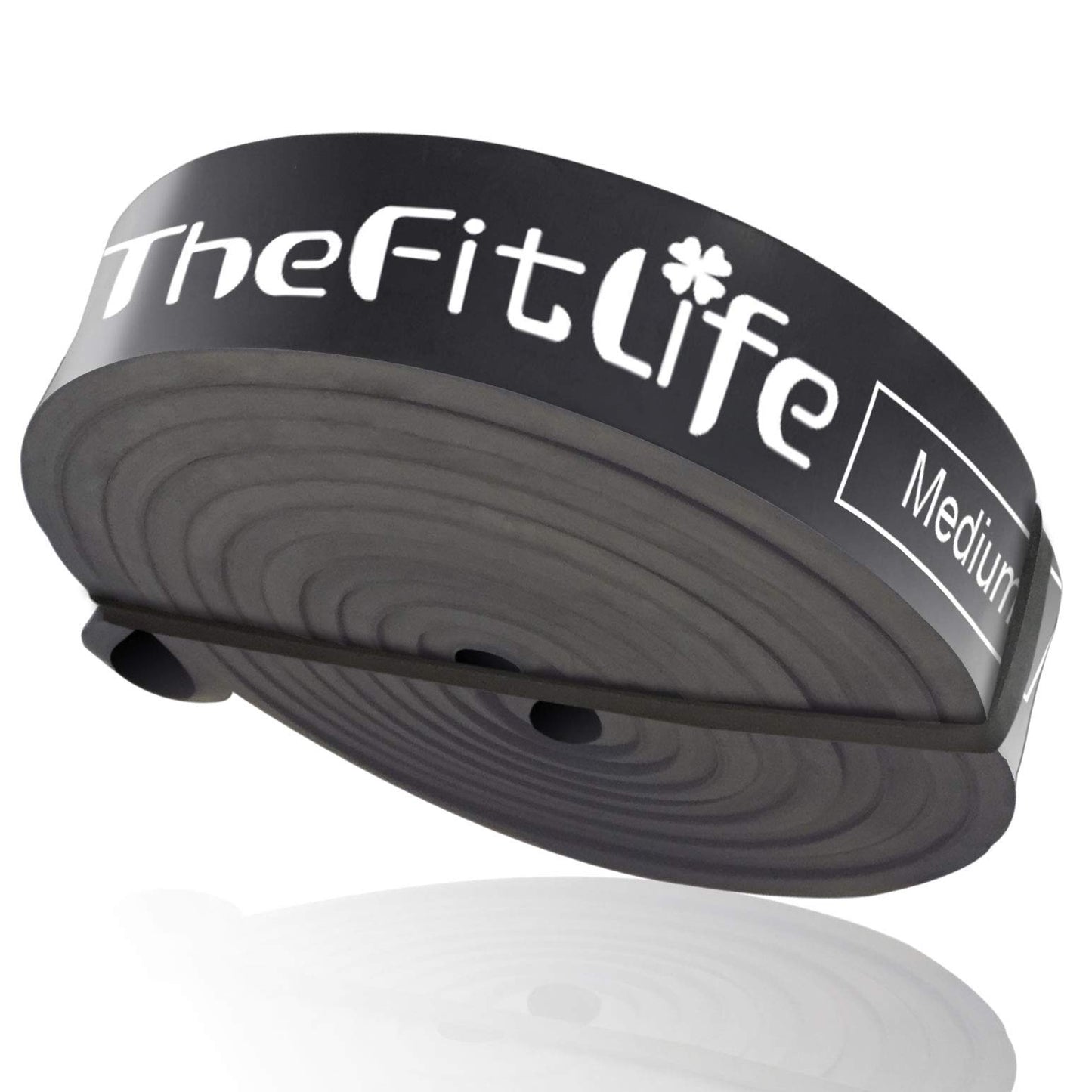 TheFitLife Resistance Pull Up Bands - Pull-Up Assist Exercise Bands, Long Workout Loop Bands for Body Stretching, Powerlifting, Fitness Training, with Carrying Bag and Workout Guide (Black)