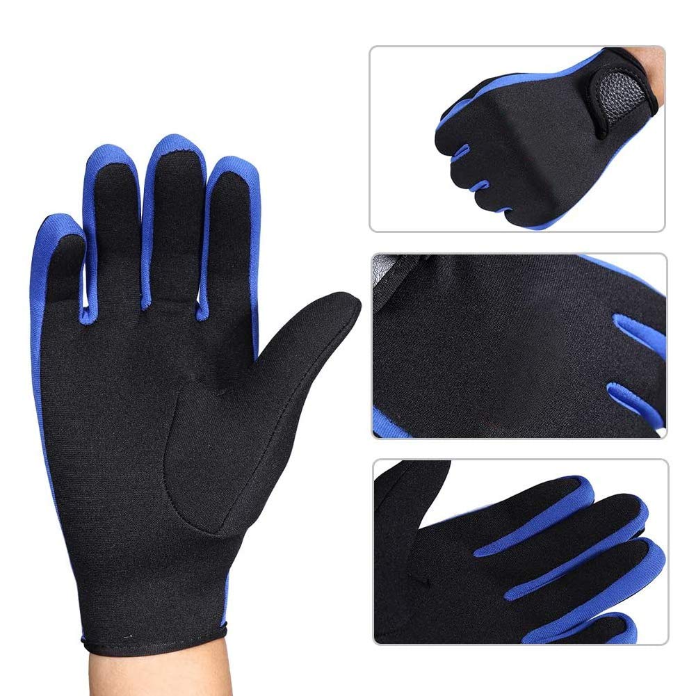 Diving Gloves Neoprene Wetsuits Five Finger Gloves Non Skid Flexible Thermal Material for Snorkeling Swimming Surfing Sailing Kayaking Diving (L Blue)