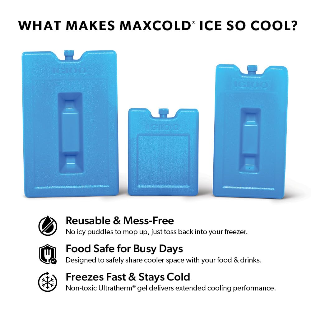 Igloo Maxcold Ice Block,4 Pieces