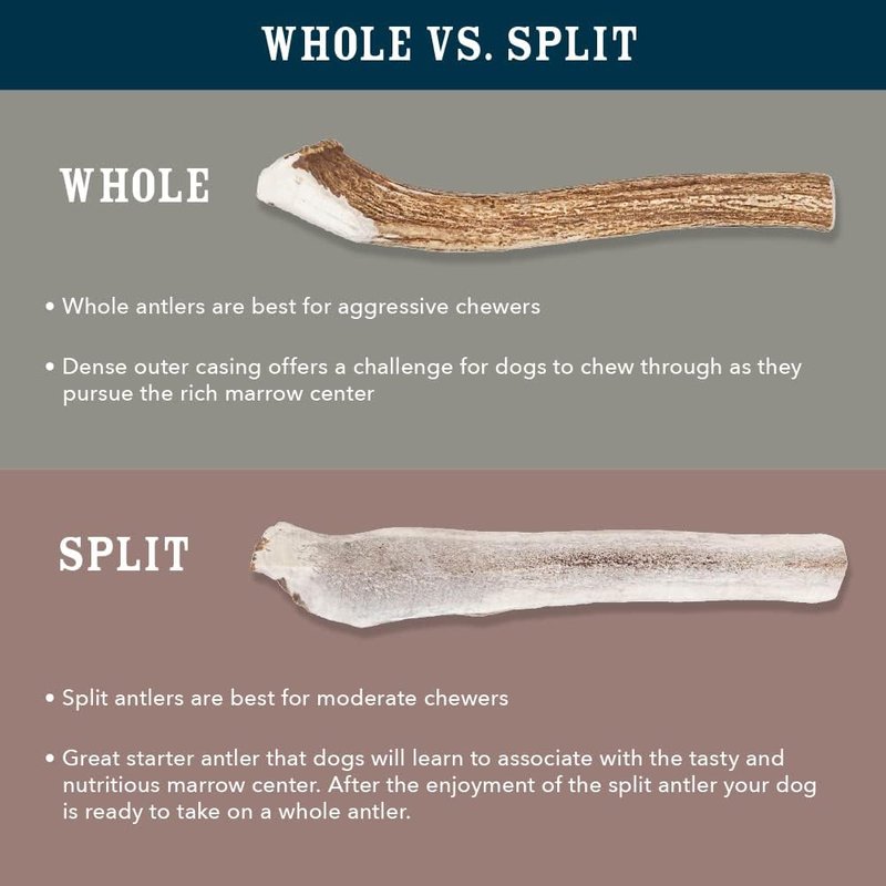 Wag Dog Deer Antler Chew - Naturally Shed, Long-Lasting Treat for Aggressive Chewers | Small Size (4-5.5 inches)