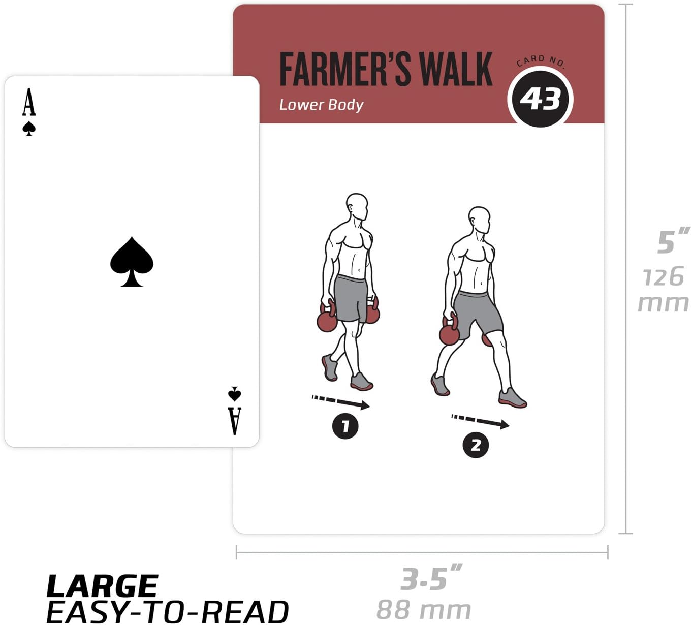 Kettlebell Workout Cards - Instructional Fitness Deck for Home & Gym | Beginner Training Guide for Men & Women