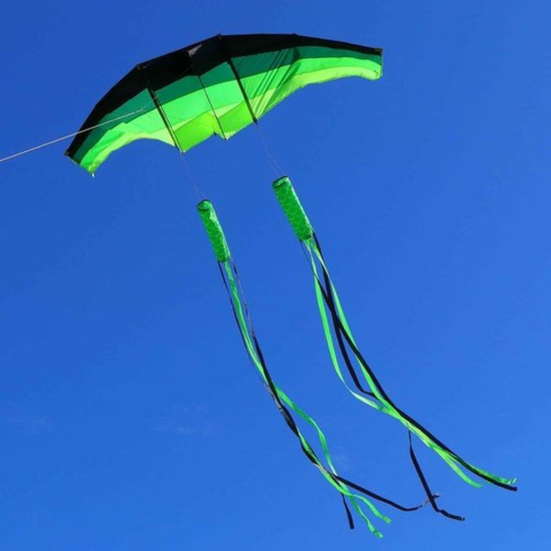 TianYueFly Huge 3D Adult Gliders Kite, 120" in Giant Single Line Kites with Two 17ft 3D Tails, Large Beach Kite for Adults