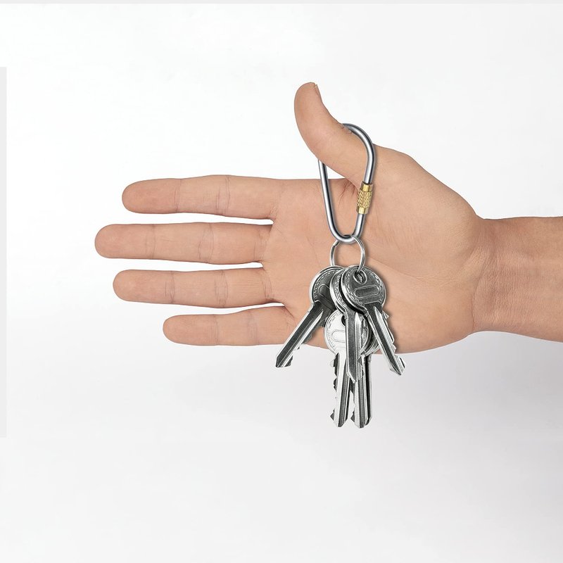 SHD Titanium Small Locking Carabiner Clip Mini Caribeener Clips D-Ring Lightweight Keychain Clip for Indoor Outdoor Use - 6PCS