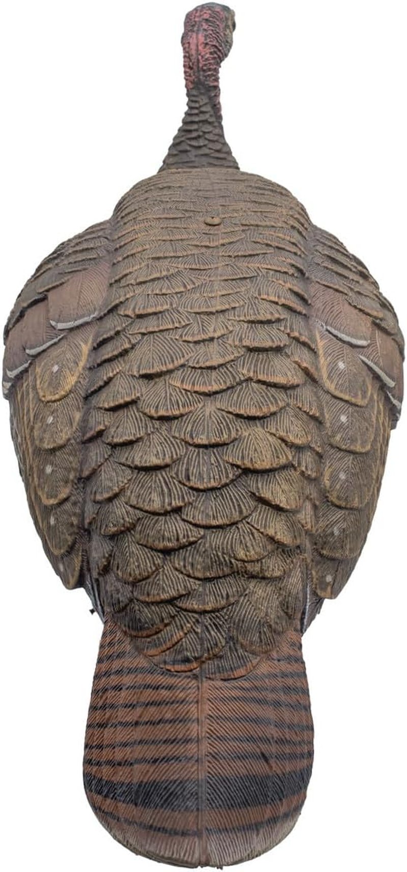 Live Breeder Hen Turkey Decoy - Realistic Hunting Decoy for Effective Turkey Lure