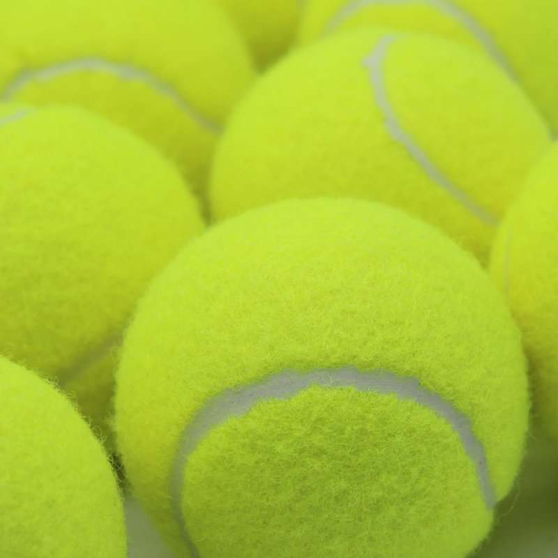 Swingers 20 Pack Tennis Balls,Training Exercise Balls for Pet Dog, High Elasticity Practice Tennis Balls for Beginner, with Mesh Carry Bag Easy to Transport (Yellow)