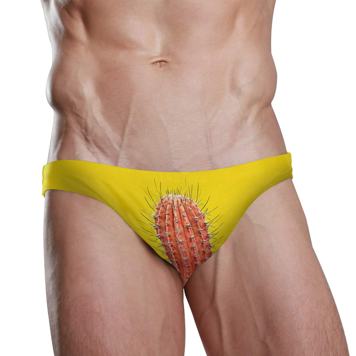 Men Swim Brief Bikini Yellow Funny Cactus Beach Bikini for Men Swim Underwear 2XL