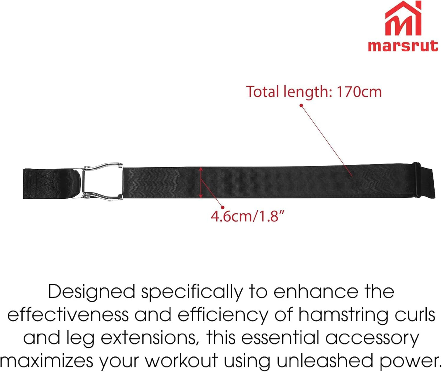Gym Seatbelt, Leg Extension Lifting Seatbelt, Nordic Hamstring Curl Strap on Bench, 5.6ft L, Buckle Squat Collar for Workouts Machine, Home Gym Stretch & Mobilization Exercise for Men Women, with Logo