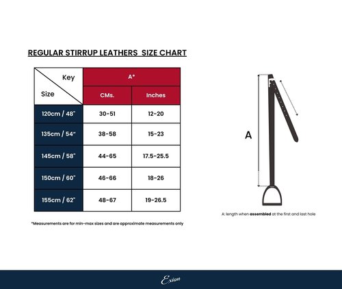 Exion FlexiStrong Stirrup Leathers for English Saddles – 1" Premium Calfskin with Nylon Core – Numbered Holes, Stainless Steel Buckles – Black/Brown – Horse Riding Gear (48"/120cm to 62"/155cm)