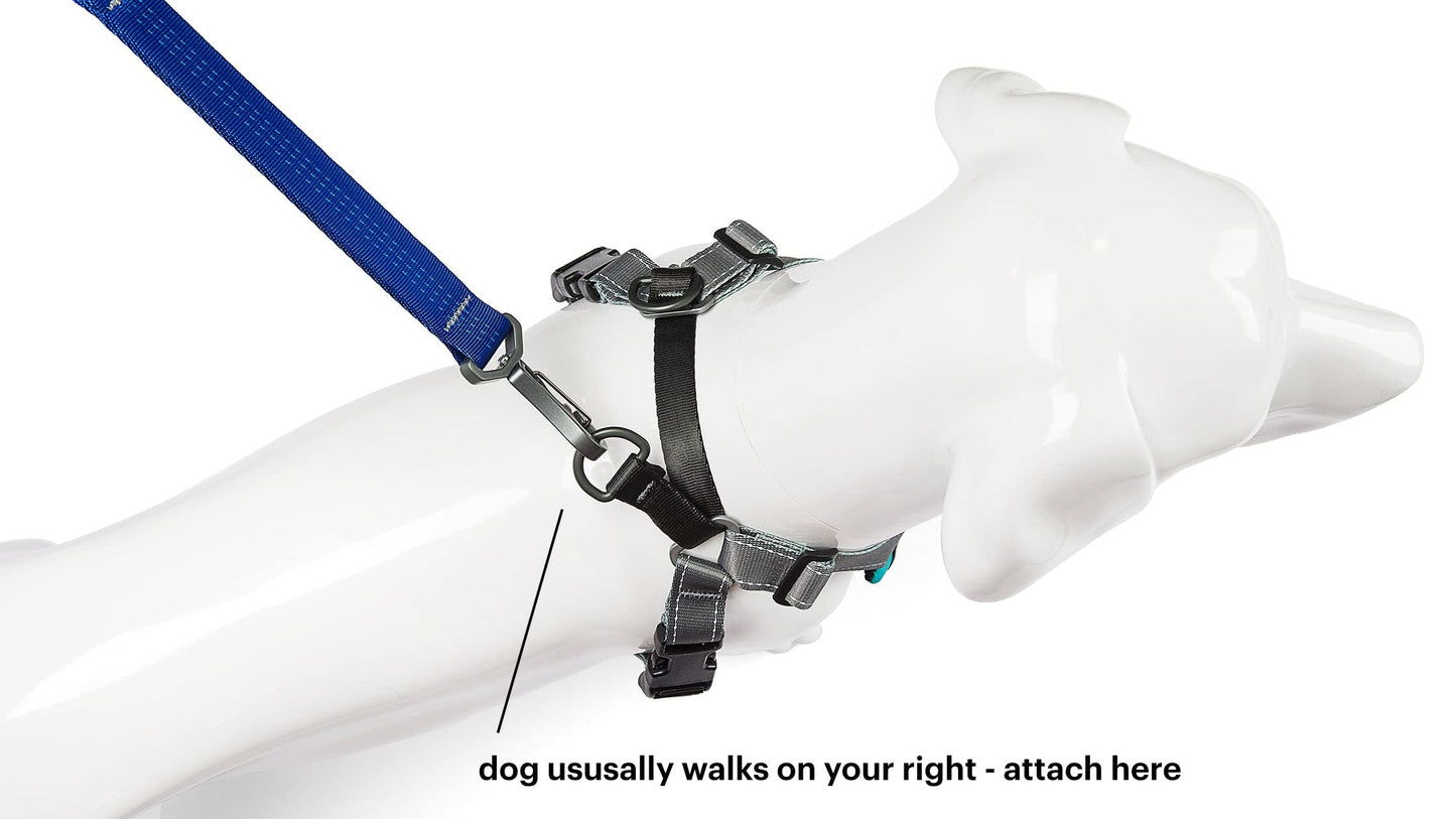 Stunt Puppy Go Dog Glo Harness, Small, Teal