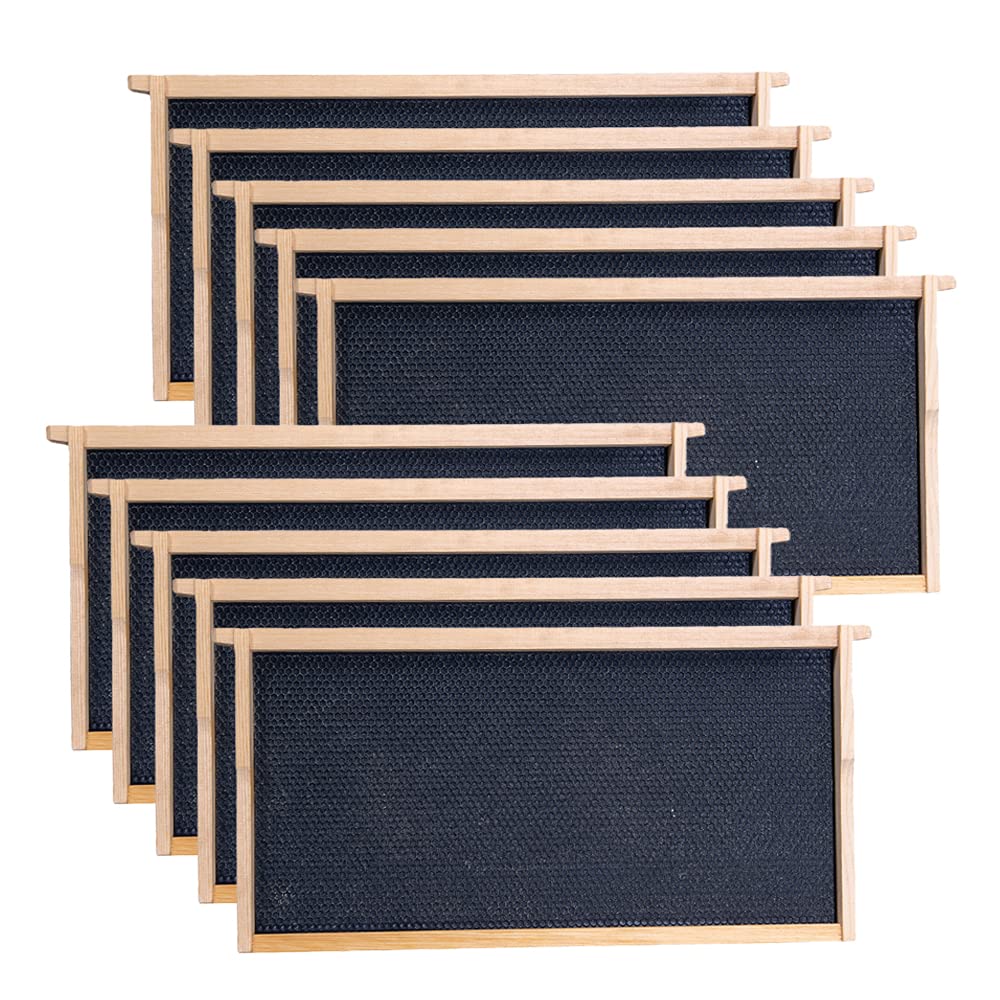 Deep Brood Beehive Frames with Wax Foundation, 10 Pack Honey Bee Frames with Beeswax Coated Food Grade Foundation Sheets, 9-1/8-Inch (Black)