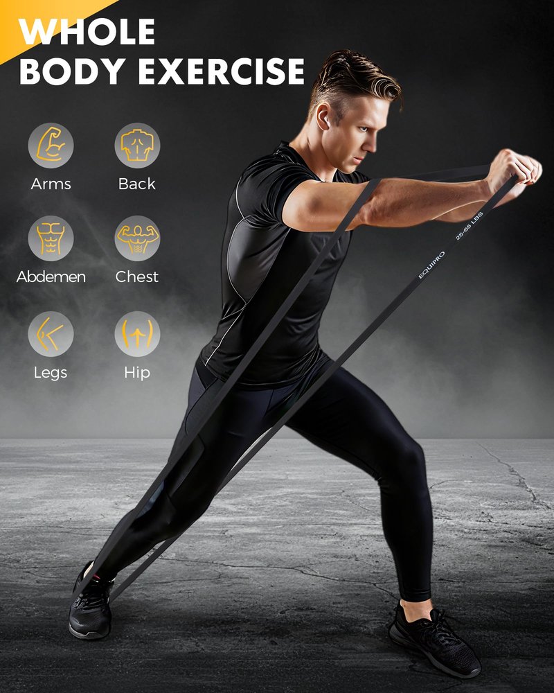 Equipro Resistance Bands, Exercise Bands, Resistance Bands for Working Out with Handles and Door Anchor, Workout Bands for Men Women with Protective Sleeve for Fitness Weights Work Out at Home