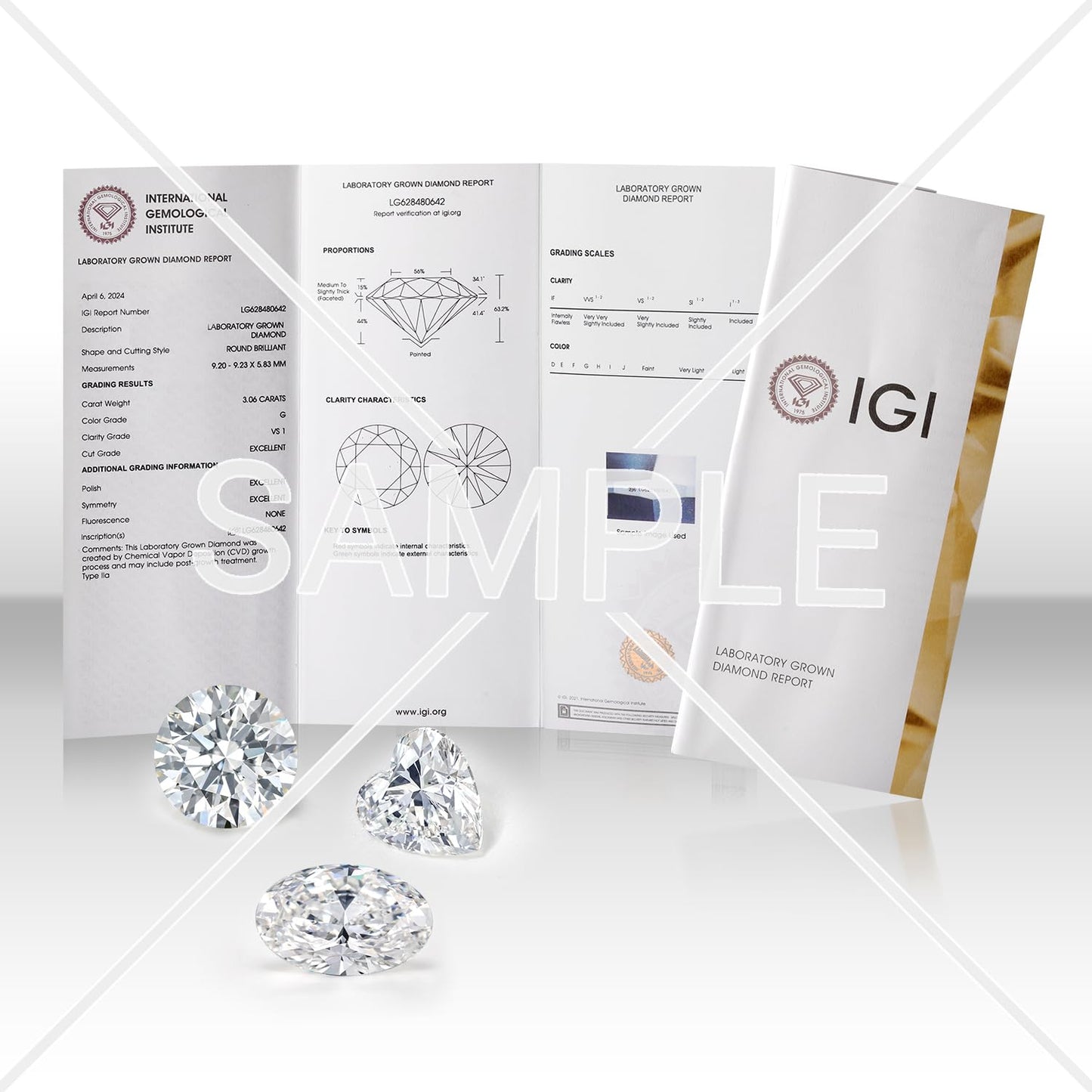 Gem Stone King 14K Gold Lab Diamond Stud Earrings, White Gold, 6 Cttw-IGI