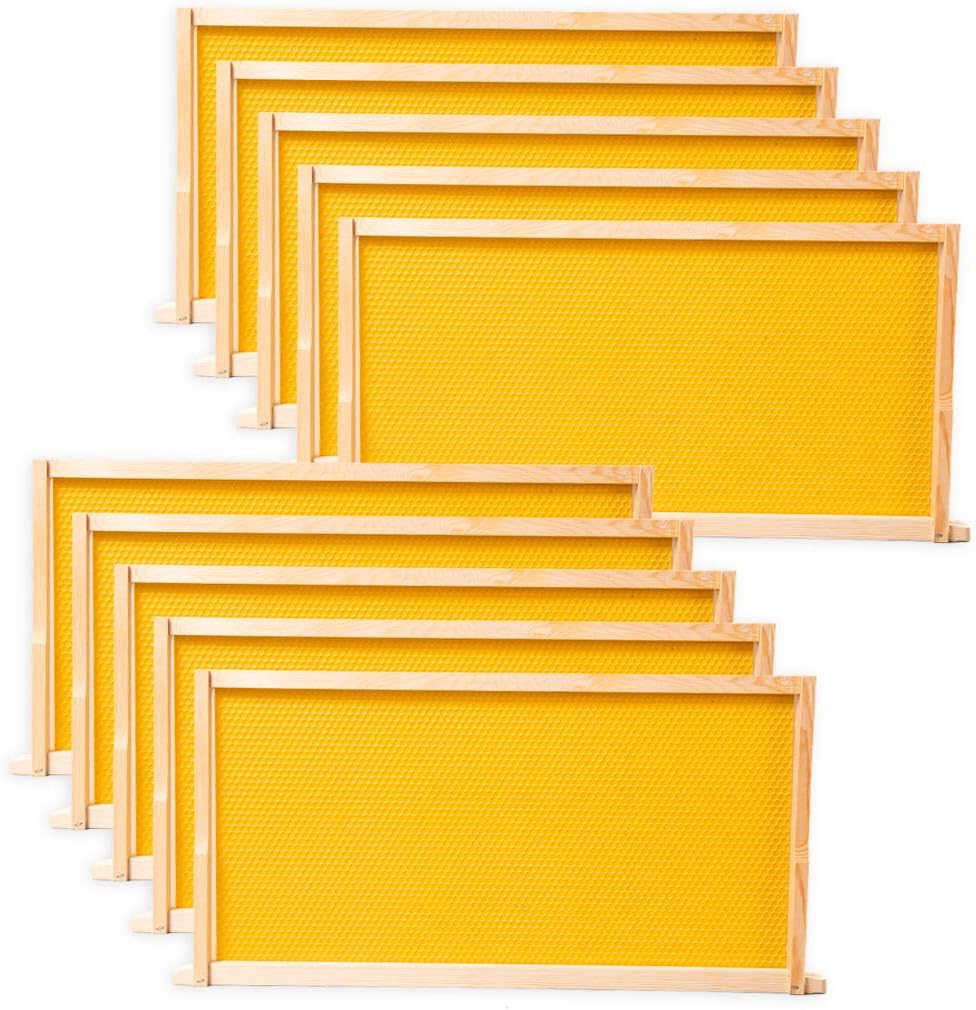BeeCastle Beehive Frames - 10 Pack Wooden Frames with Beeswax Coated Foundations | 9-1/8 Inch Yellow