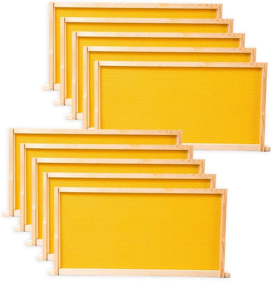 BeeCastle Beehive Frames - 10 Pack Wooden Frames with Beeswax Coated Foundations | 9-1/8 Inch Yellow