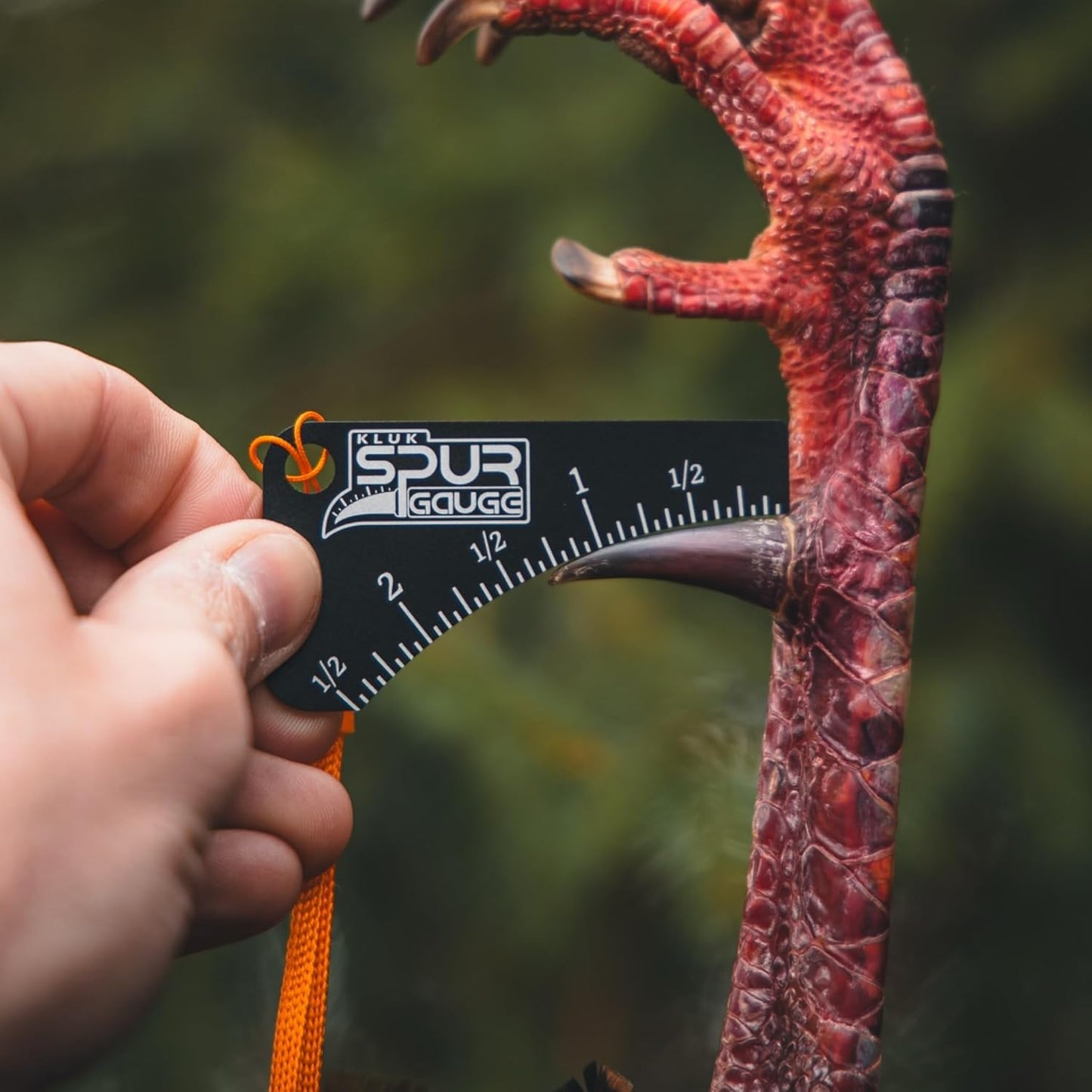 Turkey Hunting Bundle - Kluk Spur Gauge, 3-Pack Mouth Calls & Call Case | Essential Gear for Hunters