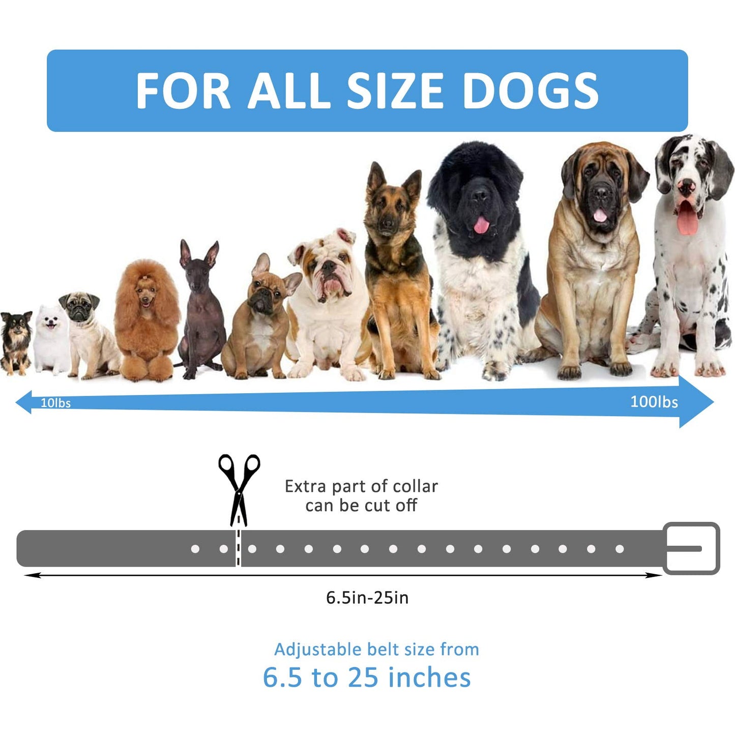 LuckinPET Replacement Collar Strap, Compatible with Petsafe,PATPET,Sportdog,Garmin,Dogtra,etc Most Training Collar/Fence Reciever, 3/4',Reflective,Adjustable,Metal Buckled,Waterproof (Orange Pack2)
