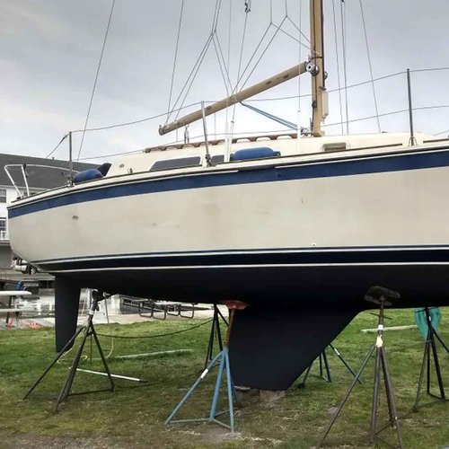 TotalBoat JD Select Ablative Antifouling Bottom Paint for Fiberglass, Wood and Steel Boats, Black, 1 Quart (Pack of 1)