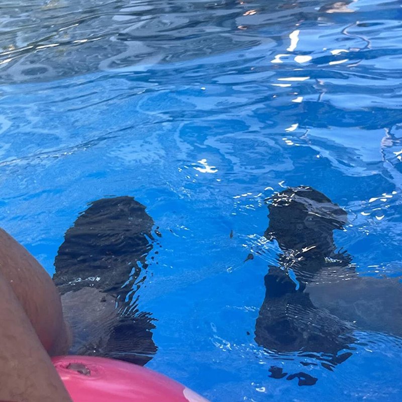 Men's Water Shoes - Quick-Drying Aqua Sports Footwear for Beach & Pool | Lightweight & Comfortable