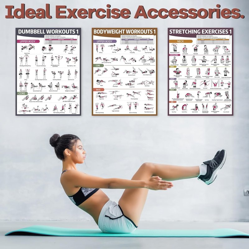 Workout Posters for Home Gym - 6PCS Dumbbell & Bodyweight Exercise Charts | Ideal for Stretching